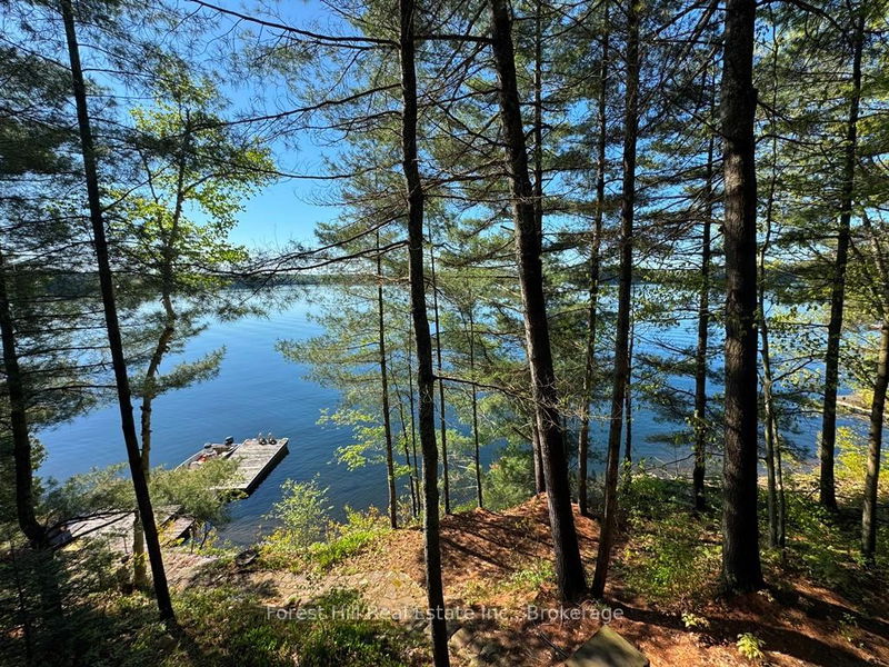 10789 Moorlands Bay (WAO), Algonquin Highlands - Sherborne image-0-0