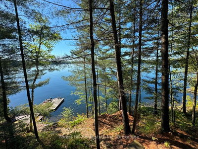 10789 Moorlands Bay (WAO), Algonquin Highlands - Sherborne