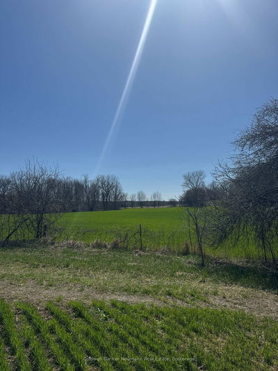 00 Bethel/Huron Rd, Wilmot -  image-0-3