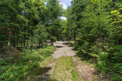 2978 Glamorgan Rd, Highlands East - Glamorgan