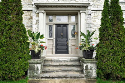 5 Emily St, Kingston - Central City East image-0-2