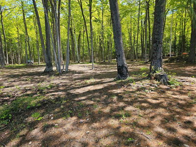 2193 Parcel B Chapeski Lane, Renfrew - Horton Twp image-0-3