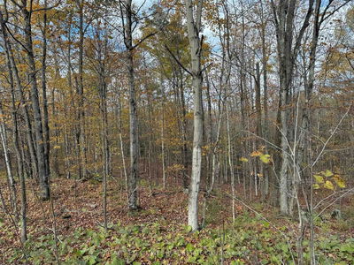 0000 BAKER VALLEY Rd, Arden - Frontenac Centre image-0-3