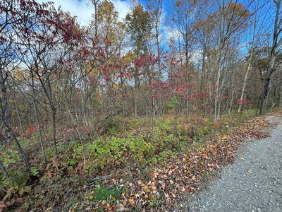 0000 BAKER VALLEY Rd, Arden - Frontenac Centre image-0-4