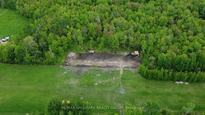 741 Concession road 2 Rd, The Nation - The Nation Municipality image-0-3