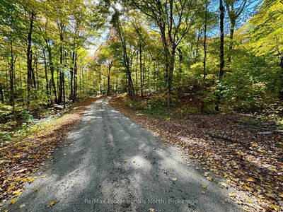 234 LONGS LAKE Rd, Huntsville - Stephenson