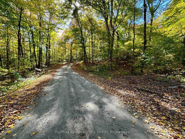 234 LONGS LAKE Road