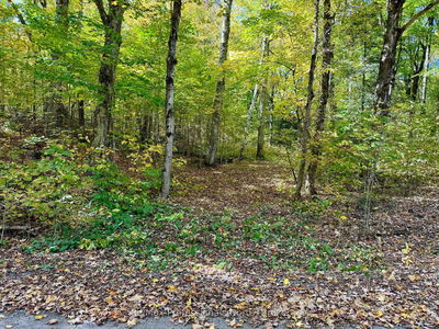 234 LONGS LAKE Rd, Huntsville - Stephenson image-0-1