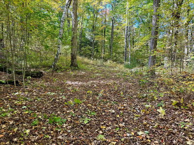 234 LONGS LAKE Rd, Huntsville - Stephenson image-0-2