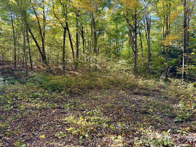 234 LONGS LAKE Rd, Huntsville - Stephenson image-0-3