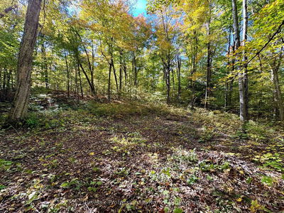 234 LONGS LAKE Rd, Huntsville - Stephenson image-0-4