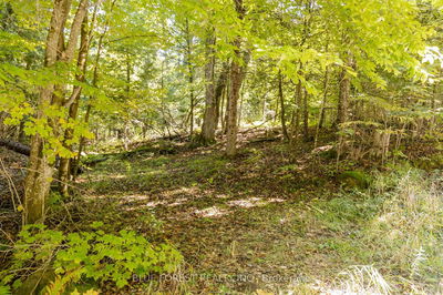 lot 69 25th Line, Algonquin Highlands - Stanhope image-0-4