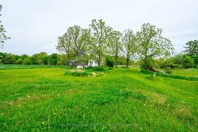 6856 Sixteen Rd, West Lincoln - West Lincoln image-0-4