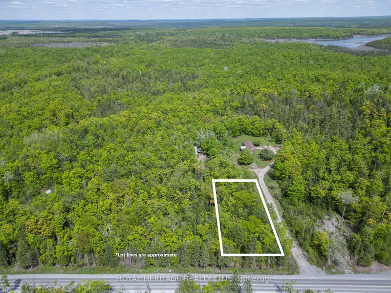 994 COUNTY ROAD 49, Trent Lakes - Trent Lakes image-0-0