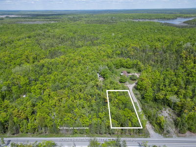 994 COUNTY ROAD 49, Trent Lakes - Trent Lakes