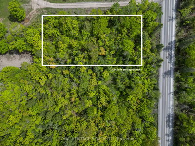 994 COUNTY ROAD 49, Trent Lakes - Trent Lakes image-0-1