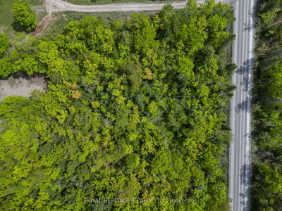 994 COUNTY ROAD 49, Trent Lakes - Trent Lakes image-0-2