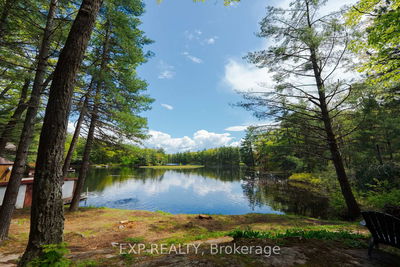 847 West Kosh Lake Rd, Havelock-Belmont-Methuen - Rural Havelock-Belmont-Methuen image-0-2