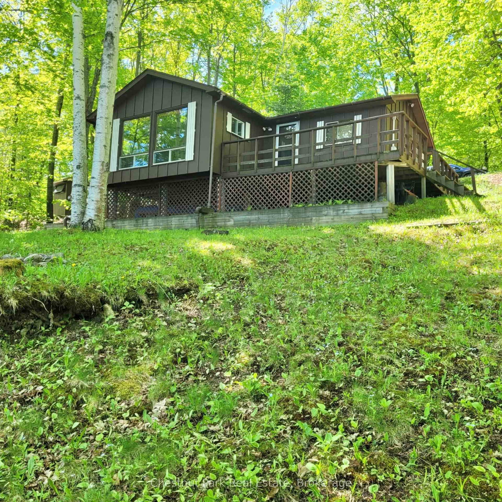 Listing Image 18