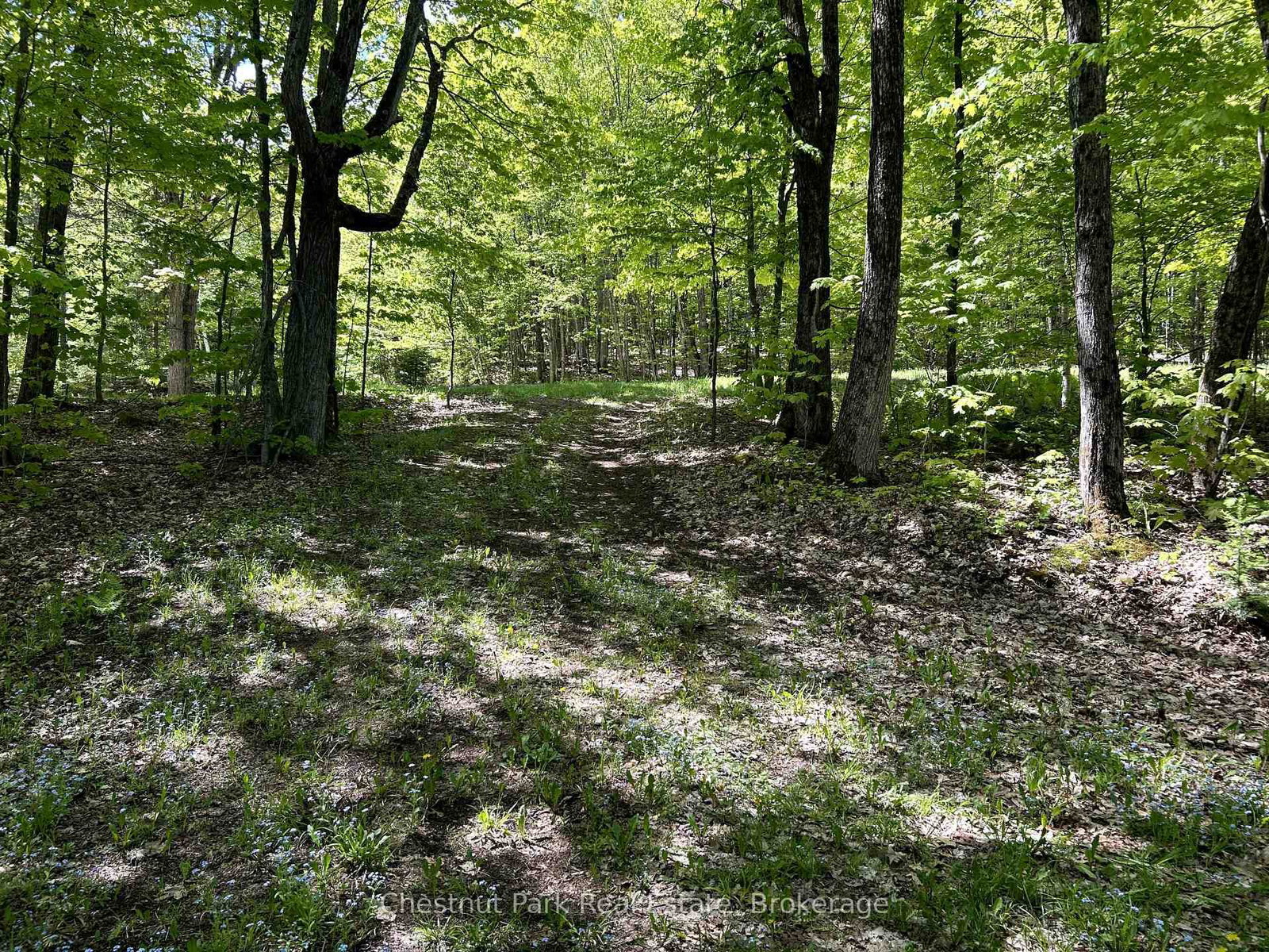 Listing Image 26
