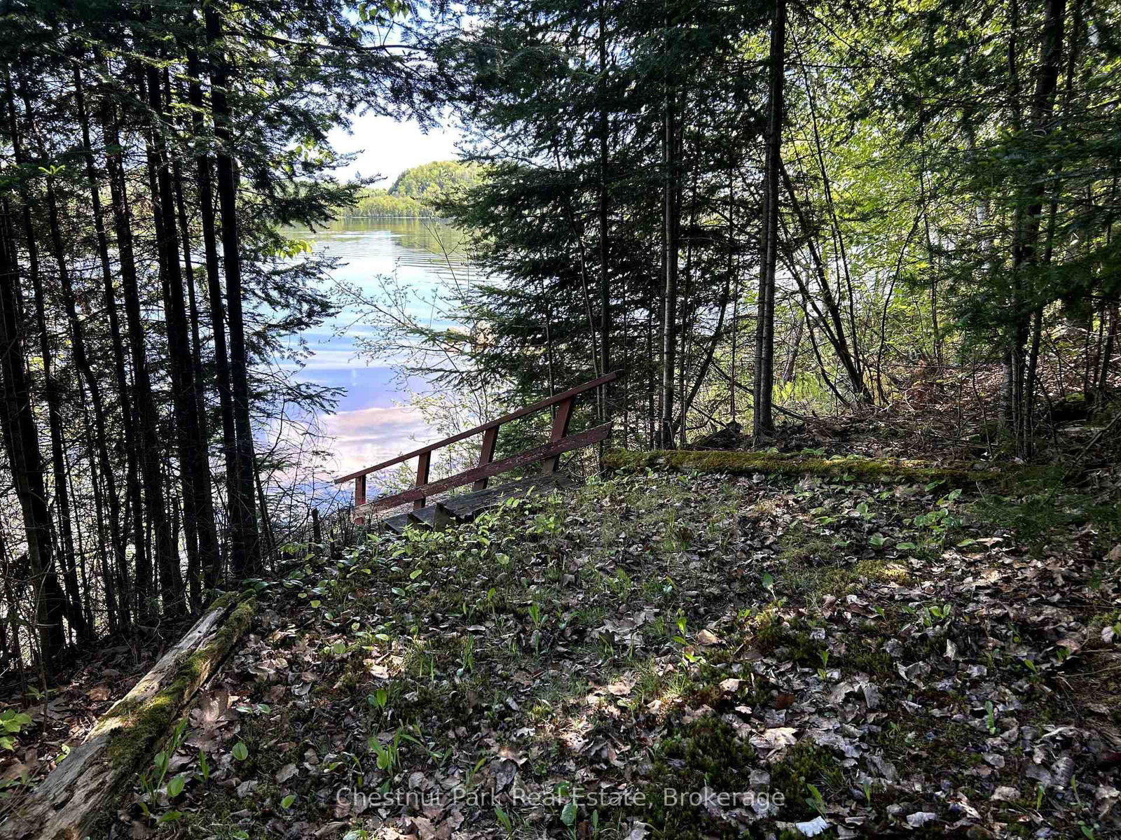 Listing Image 29