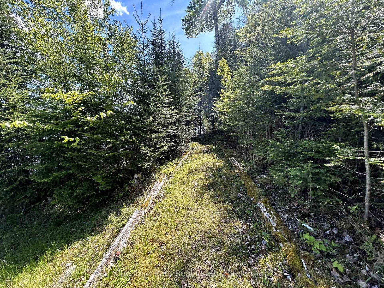 Detached House sold at 855 Limberlost Point Road, Parry Sound Remote Area, Ontario, P0H 2R0 - Restoule - MLS: X12181353