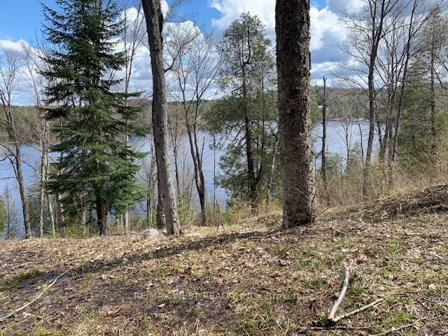 5 Lodge Lane, Joly, P0A 1Z0 | Image 3