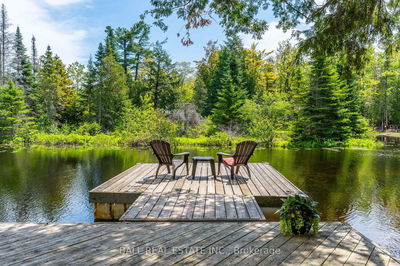 73 Sunset Crt, Trent Lakes - Trent Lakes image-0-3
