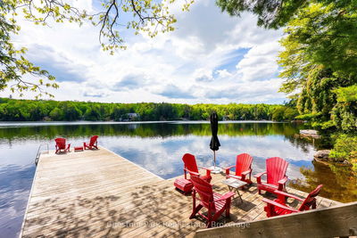 1103 Hallett Rd 4 Rd, Muskoka Lakes - Medora image-0-3