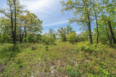  Northeys Bay Rd, North Kawartha - North Kawartha image-0-1