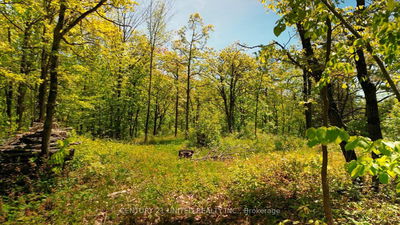  Northeys Bay Rd, North Kawartha - North Kawartha image-0-3