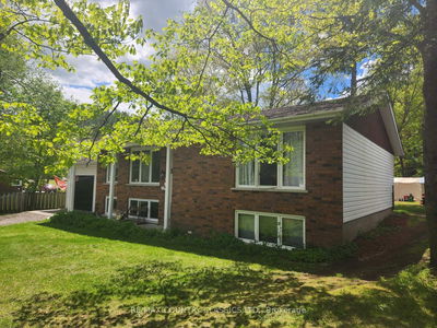 351 Chemaushgon Rd, Bancroft - Bancroft Ward image-0-1