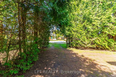117 Second Ave, South Bruce Peninsula - South Bruce Peninsula image-0-3