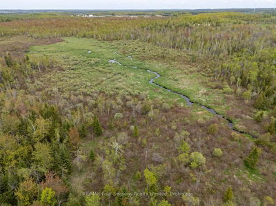 348305 4th Concession B Concession, Grey Highlands - Grey Highlands image-0-1