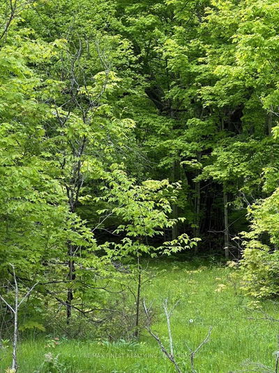17146 Road 509, Sharbot Lake - Frontenac Centre image-0-2