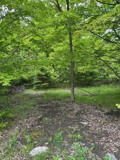 17146 Road 509, Sharbot Lake - Frontenac Centre image-0-3