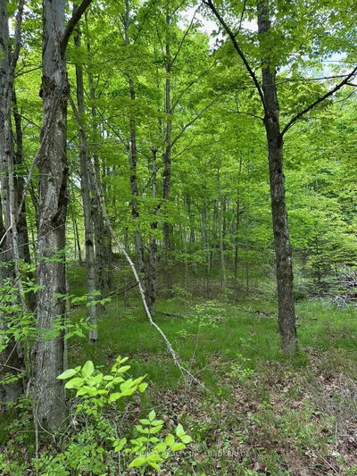 17146 Road 509, Sharbot Lake - Frontenac Centre image-0-4
