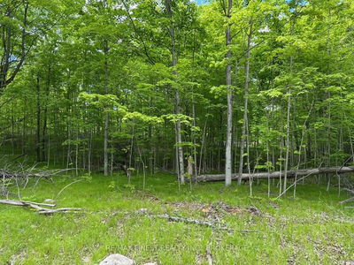 17158 Road 509, Sharbot Lake - Frontenac Centre image-0-1