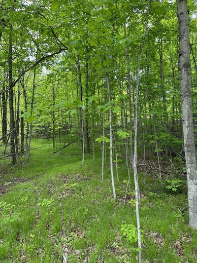 17158 Road 509, Sharbot Lake - Frontenac Centre image-0-2