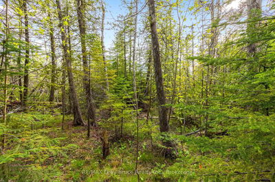 Lots 33 & 34 Big Tub Rd, Northern Bruce Peninsula - Northern Bruce Peninsula image-0-3