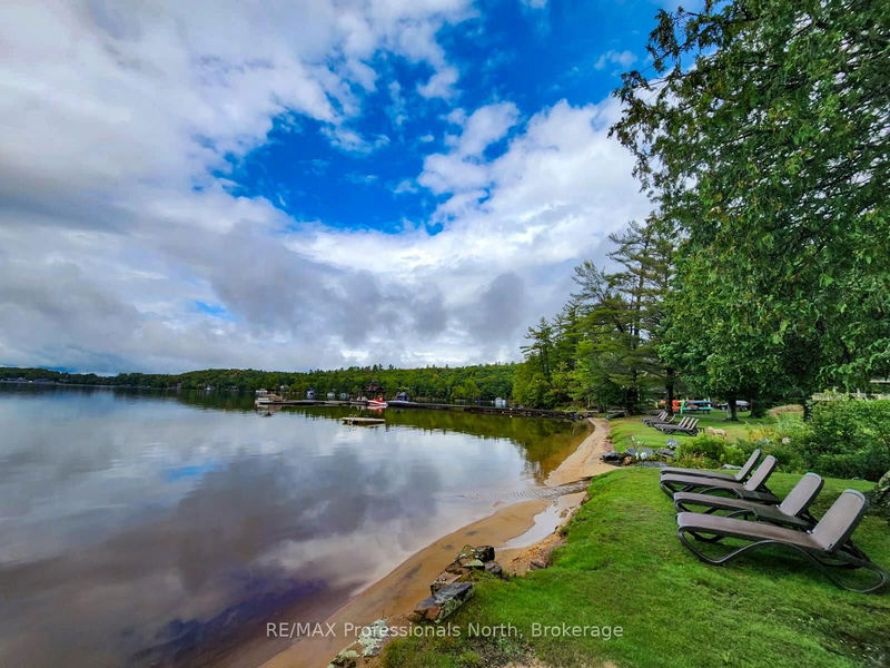Unit Sandfield 2, Week 10 — 3876 MUSKOKA ROAD 118, Muskoka Lakes - Medora image-0-0