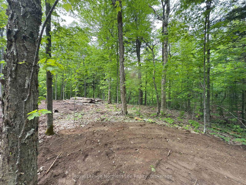 1A Highway 522, Parry Sound Remote Area - Pringle image-0-0
