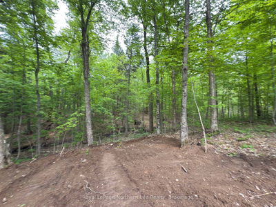 1A Highway 522, Parry Sound Remote Area - Pringle image-0-1