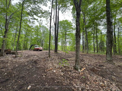1A Highway 522, Parry Sound Remote Area - Pringle image-0-2