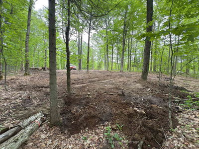 1A Highway 522, Parry Sound Remote Area - Pringle image-0-3