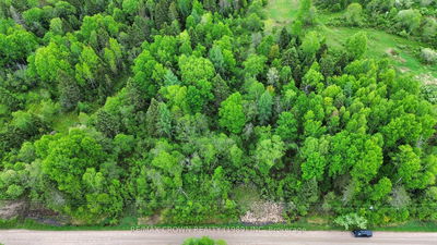 LOT 29 CON 2 Part 1 Grand Desert Rd, Bonfield - Bonfield image-0-1