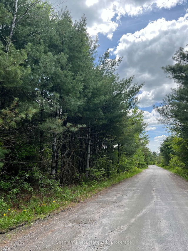 1000 Alpine Ranch Road