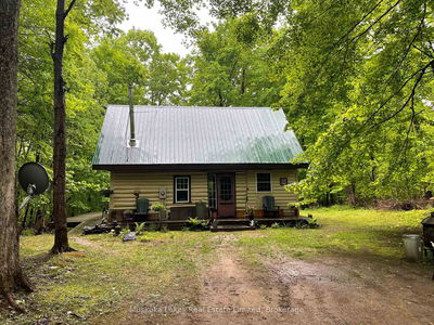 1011 Shamrock Rd, Muskoka Lakes - Medora