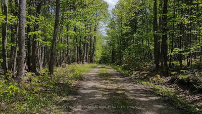 00 Siberia Rd, Barry's Bay - Madawaska Valley