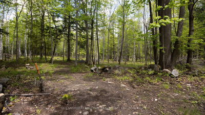00 Siberia Rd, Barry's Bay - Madawaska Valley image-0-3